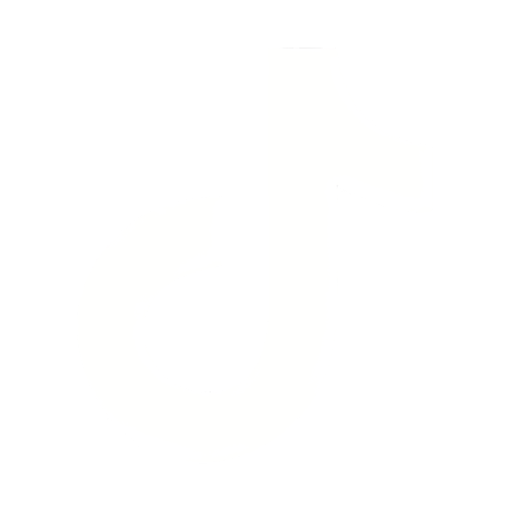 TikTok logo
